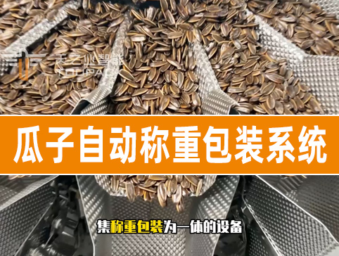 瓜子自動稱重包裝系統(tǒng)