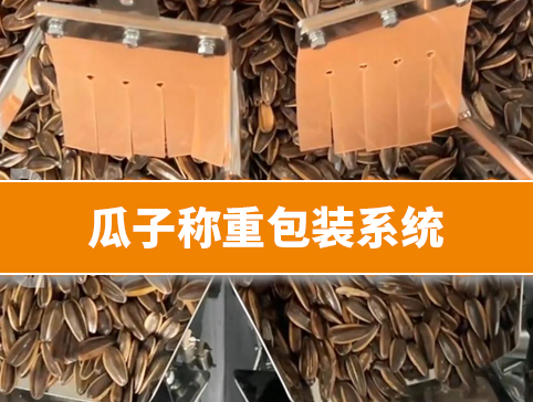 瓜子稱重包裝系統(tǒng)