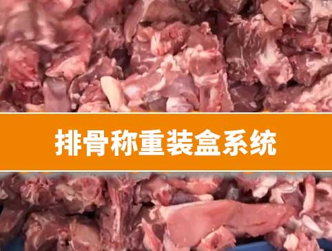 排骨稱重裝盒系統(tǒng)