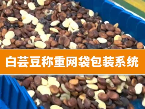 白蕓豆稱重網(wǎng)袋包裝系統(tǒng)