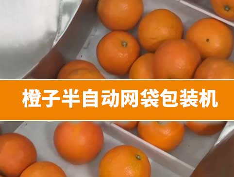 橙子半自動(dòng)網(wǎng)袋包裝機(jī)