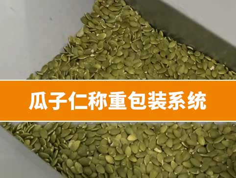 瓜子仁稱(chēng)重包裝系統(tǒng)