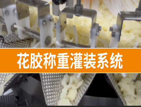 花膠稱重灌裝系統(tǒng)
