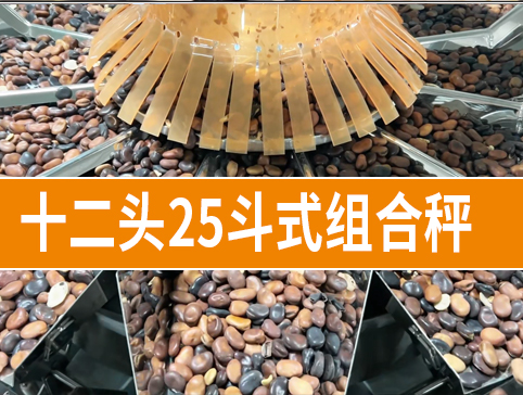 十二頭25斗式組合秤