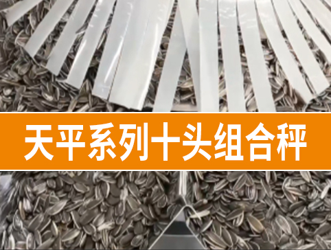 天平系列十頭組合秤