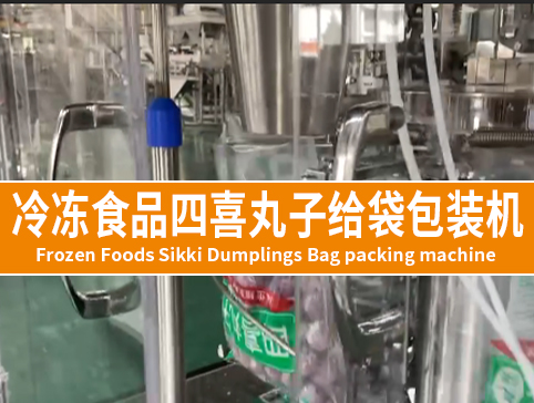 冷凍食品四喜丸子給袋包裝機(jī)