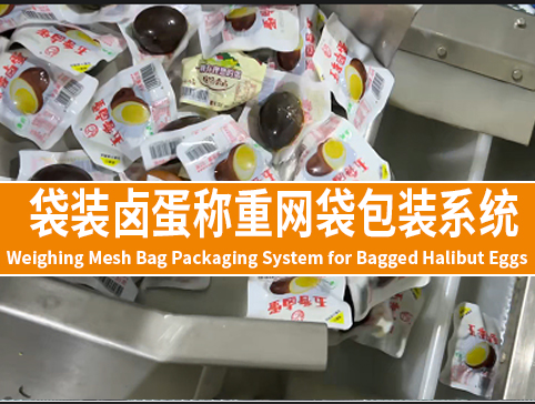 袋裝鹵蛋稱(chēng)重網(wǎng)袋包裝系統(tǒng)