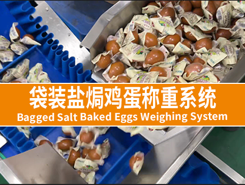 袋裝鹽焗雞蛋稱(chēng)重系統(tǒng)