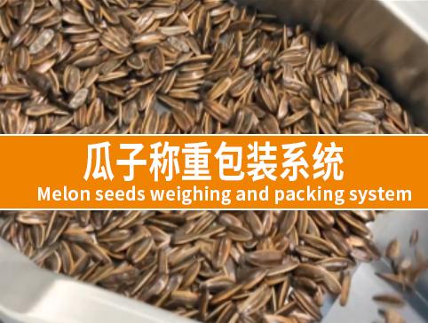 瓜子稱(chēng)重包裝系統(tǒng)