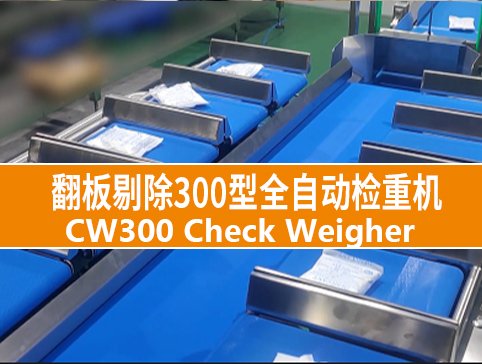 翻板剔除300型全自動(dòng)檢重機(jī)